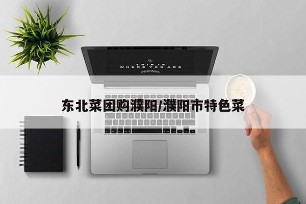 东北菜团购濮阳／濮阳市特色菜