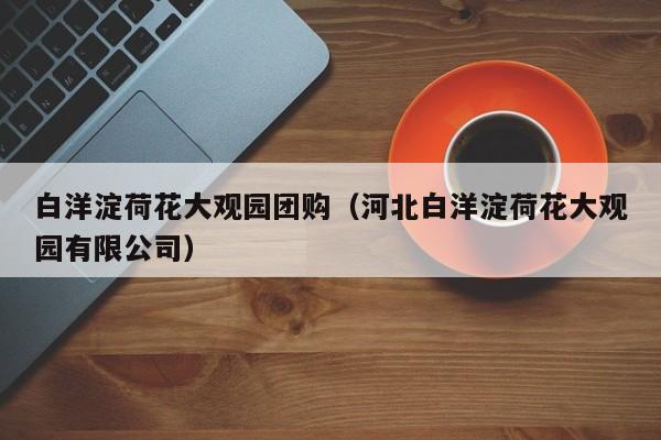 白洋淀荷花大观园团购（河北白洋淀荷花大观园有限公司）