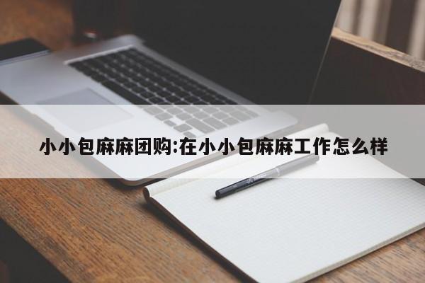 小小包麻麻团购：在小小包麻麻工作怎么样