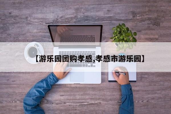 【游乐园团购孝感,孝感市游乐园】